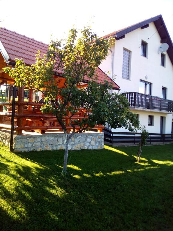 Apartments Dale Smoljanac Exterior photo